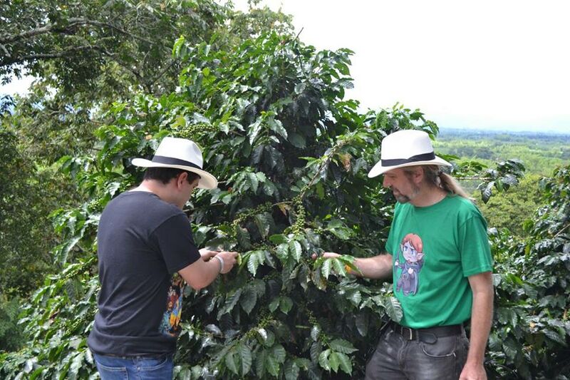 File:WichmanCoffee.jpg